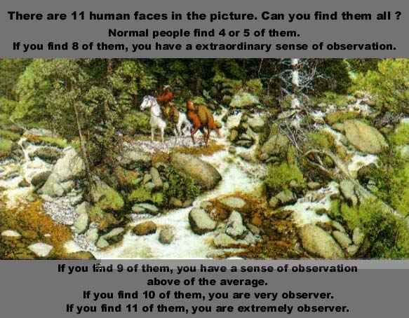 Illusion with hidden faces