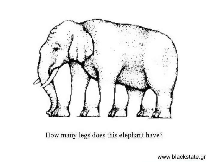 Elephant's legs illusion