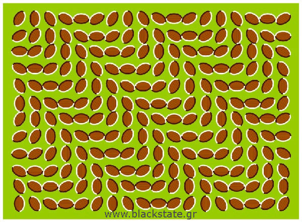 Illusion, illusions