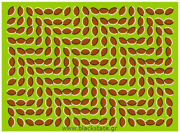 Illusion, illusions