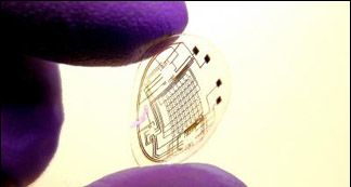 bionic-lenses