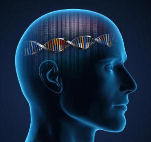 consciousness-genes