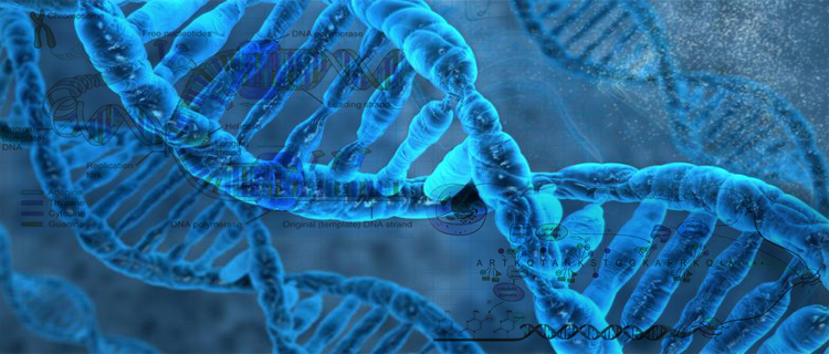 DNA πληροφορίες