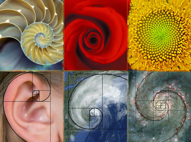 Ακολουθία Fibonacci