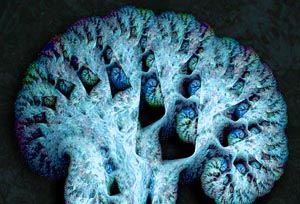 fractal-brain