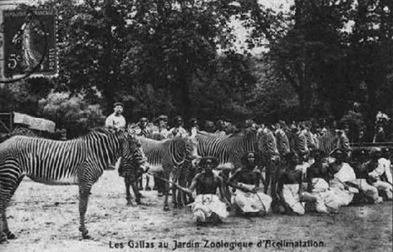 human zoos 4