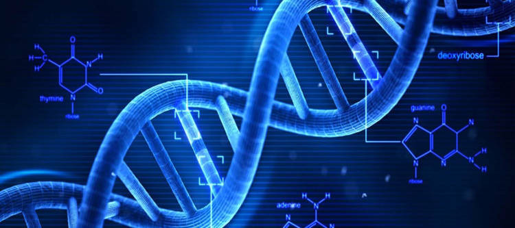 Νέα έρευνα για το DNA