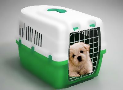 pet-box