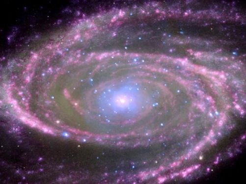 spiral galaxy m81
