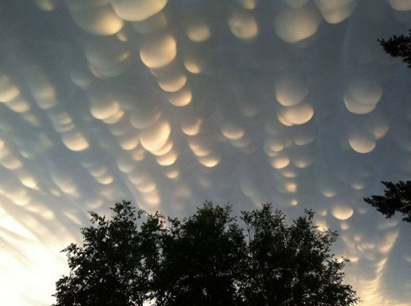 Mammatus