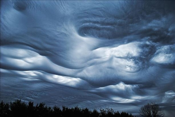 Undulatus Asperatus