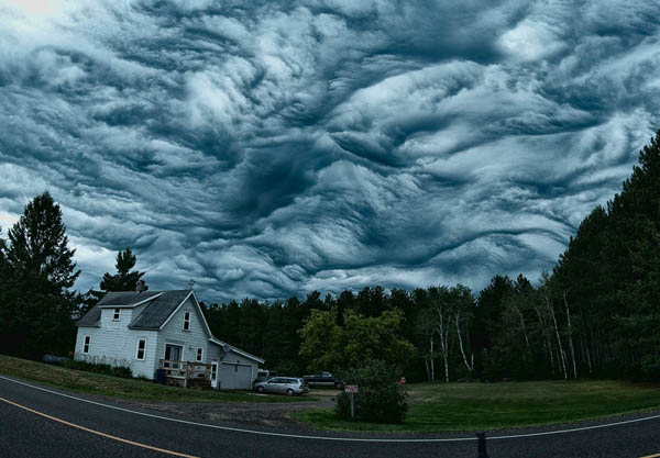 Undulatus Asperatus